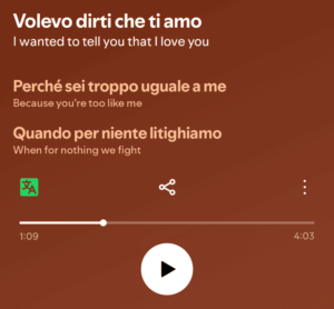 spotify「歌詞翻訳サポート」画面